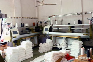 志丰针织时装厂 专业印花毛衣系列，欢迎来样来图订货